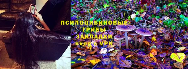 сатива Зеленокумск