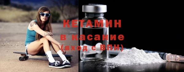 сатива Зеленокумск