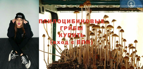 шишки Зеленодольск