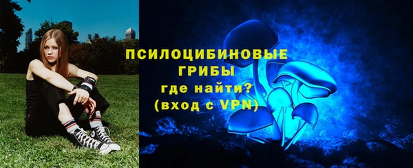дмт Осташков