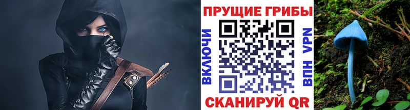 Псилоцибиновые грибы мицелий  как найти наркотики  Маркс 
